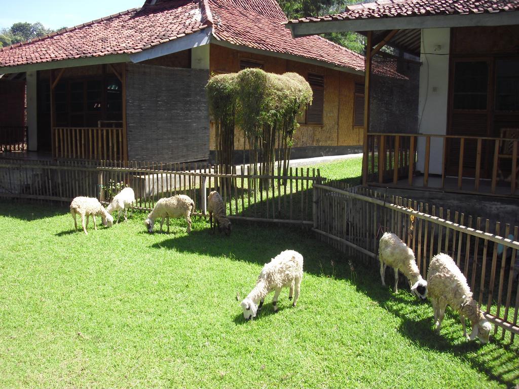 Ocean Queen Resort Cisolok Ngoại thất bức ảnh